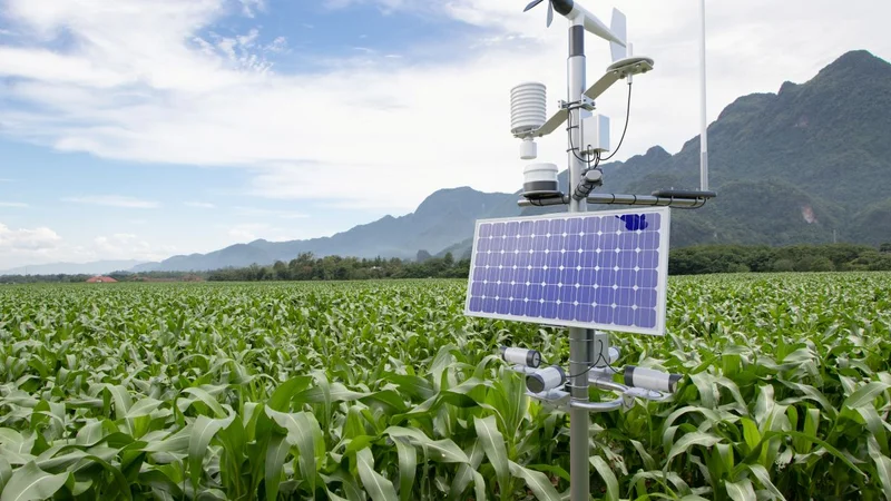 Integrated Photonics Spotlight: Innovations in Sensing and Environmental Monitoring