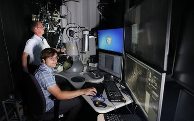 A dual ion beam tests new steel under fusion energy-producing conditions