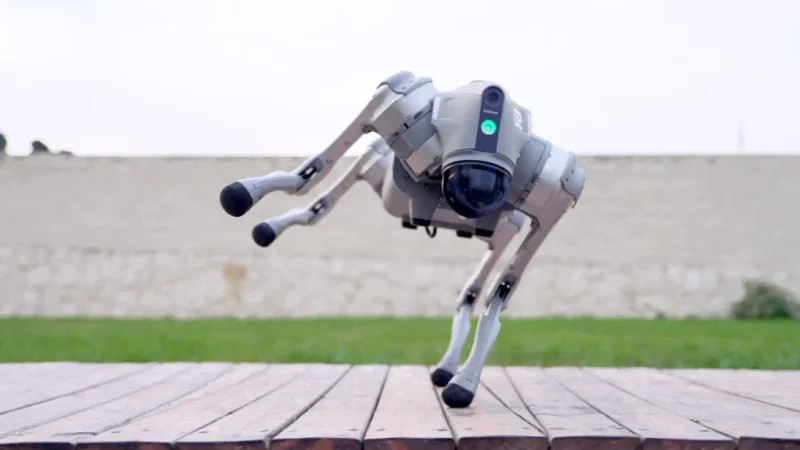 A Look at the Newest Unitree Quadrupeds