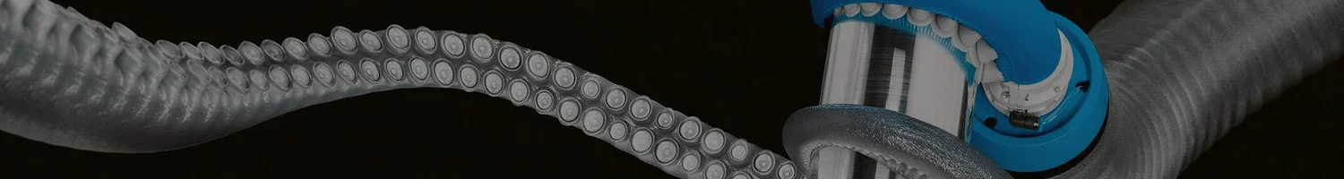 banner image
