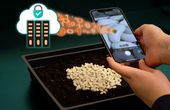 Podcast: Authenticating Seeds To 5X Crop Yields