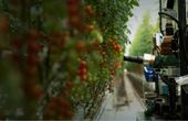 Precision Agriculture with Single Board Computers