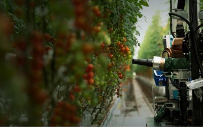 Precision Agriculture with Single Board Computers