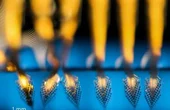 Harnessing scalability, adaptability, and efficiency of biological neural networks through flexible brain-computer interfaces