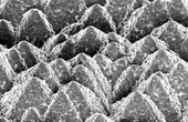 Silicon-perovskite solar cells achieve record efficiency of 25,2 percent