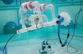 SeaPerch: A robot with a mission