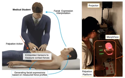 Robotic simulator for dynamic facial expression of pain in response to palpations