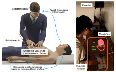 Robotic simulator for dynamic facial expression of pain in response to palpations