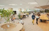 Turning Offices with Hot Desking into the Ideal Space - Case Study of Hot Desking Using the Pifaa Seating Management System