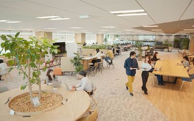 Turning Offices with Hot Desking into the Ideal Space - Case Study of Hot Desking Using the Pifaa Seating Management System