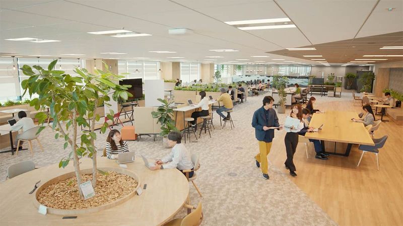 Turning Offices with Hot Desking into the Ideal Space - Case Study of Hot Desking Using the Pifaa Seating Management System