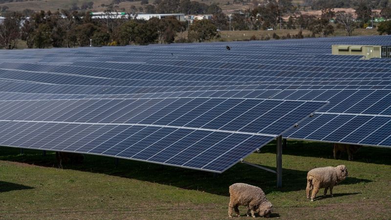 A solar farm near Hume in the ACT. Photo: Lannon Harley/ANU