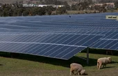 New tool to help maximise nation's solar and wind potential