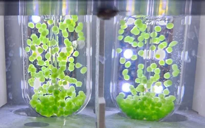Researchers aim to develop space biomanufacturing from carbon dioxide, astronaut wastes