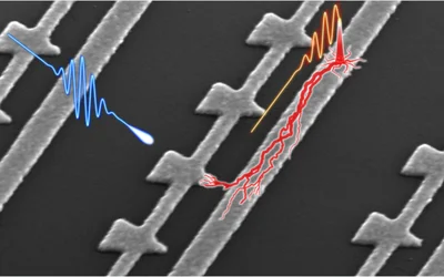 Nanostructured device stops light in its tracks
