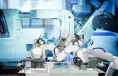 MOVE: A Robotics Ecosystem by EBV Embedded Solutions