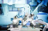 MOVE: A Robotics Ecosystem by EBV Embedded Solutions