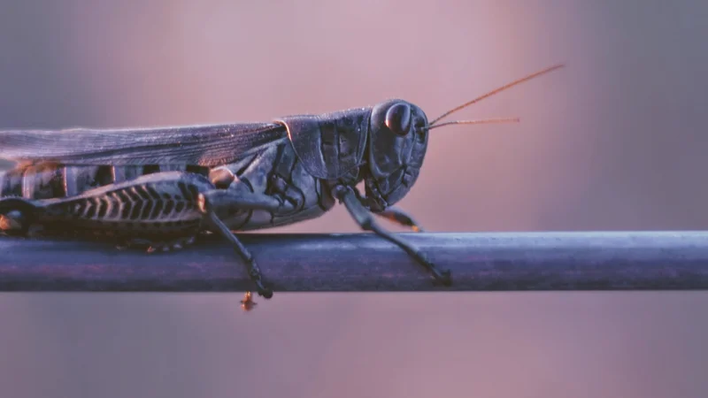 Photo by Joshua Hoehne on Unsplash