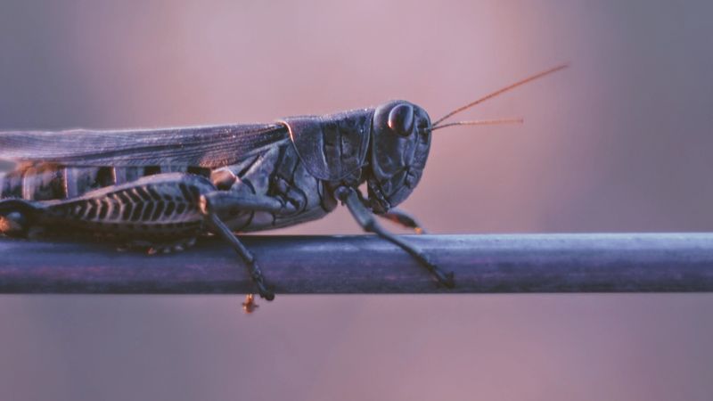 Photo by Joshua Hoehne on Unsplash