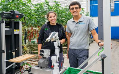 A picking robot for the greenhouse