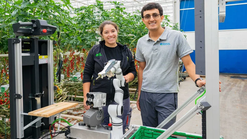 A picking robot for the greenhouse