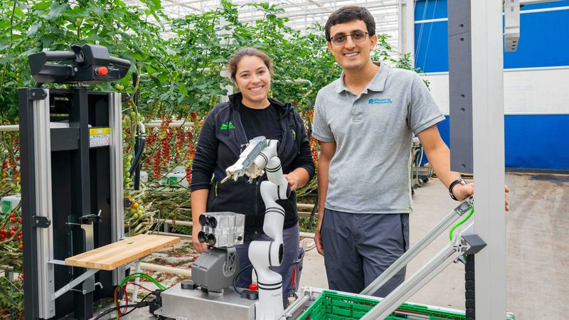 A picking robot for the greenhouse