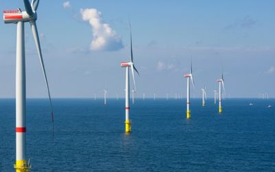 How edge AI is enabling cutting-edge advances in sustainability.