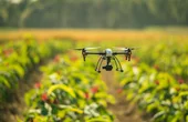 Growing a Cleaner Future with Agritech and Cleantech