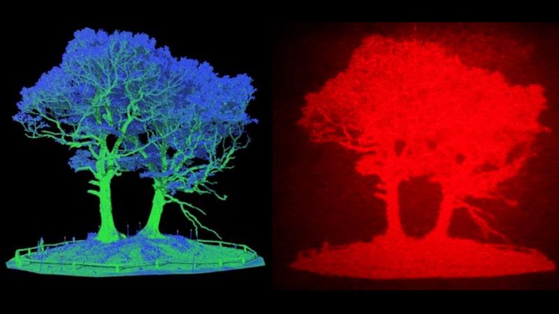 Image based on LiDAR data (left), converted to a hologram (right).