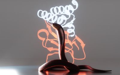 AI-designed proteins neutralise snake toxins