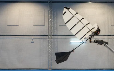 Researchers develop winged robot that can land like a bird