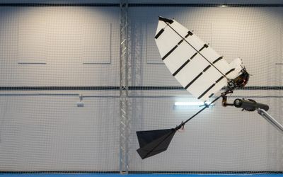 Researchers develop winged robot that can land like a bird
