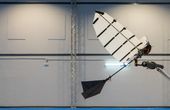 Researchers develop winged robot that can land like a bird
