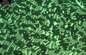Researchers identify unexpected twist while developing new polymer-based semiconductors