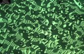 Researchers identify unexpected twist while developing new polymer-based semiconductors