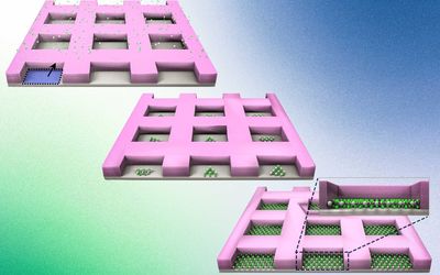 Engineers grow "perfect" atom-thin materials on industrial silicon wafers