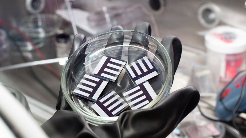 Solar cell samples. Photo by Ekaterina Shevyreva / ITMO.NEWS