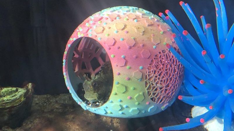 A hiding place for my aquarium. Designed in nTop Platform