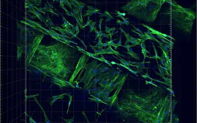 Tissue Engineering and 3D Printing: Two Revolutionary Disciplines Now Fused Into One