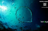 Achieving "Mission Zero" through wastewater?