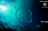 Achieving "Mission Zero" through wastewater?
