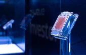 Dual-rail qubit emulator lets quantum programs act on detected errors