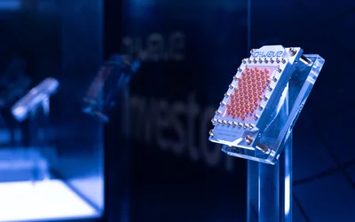 Dual-rail qubit emulator lets quantum programs act on detected errors