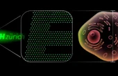 Manufacturing the world's tiniest light-emitting diodes