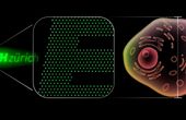 Manufacturing the world's tiniest light-emitting diodes