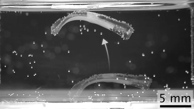 One small leap for a muscle, one giant step for robotics
