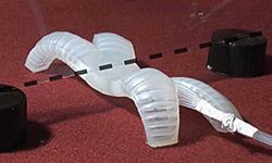 0.obardhns1qisoft robot