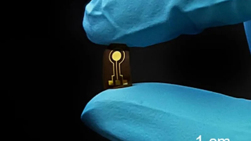 Researchers developed a flexible, implantable sensor that can continuously monitor nitric oxide in the knee of a rabbit. The gas may indicate the onset of damage-induced osteoarthritis. Credit: Provided by Shangbin Liu/Penn State/Tsinghua University. All Rights Reserved.