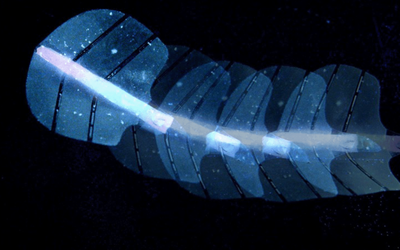 Novel artificial muscles move with sound