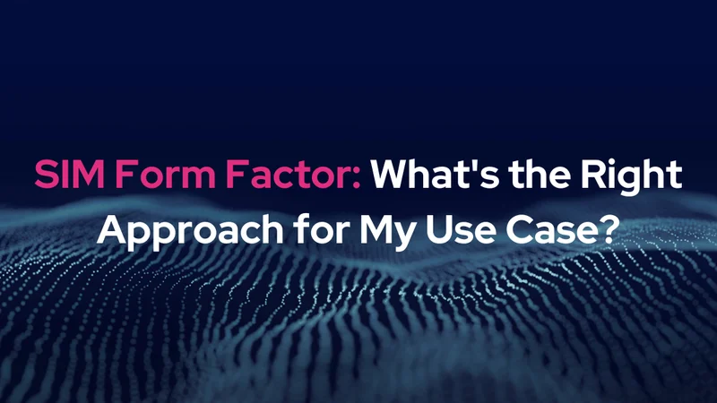 The Right Approach for My Use Case. SIM Form Factor.